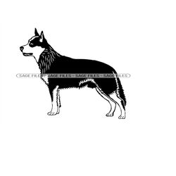 Australian Stumpy Tail Cattle Dog SVG, Dog Svg, Clipart, Files for Cricut, Cut Files For Silhouette, Png, Dxf