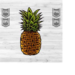 Pineapple fruit illustration || Svg File || Pineapple clipart || Cut Files || Digital Download