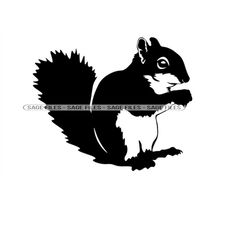 Squirrel 6 SVG, Squirrel SVG, Squirrel PNG, Squirrel Design, Squirrel Clipart, Squirrel Cut Files, Png, Dxf