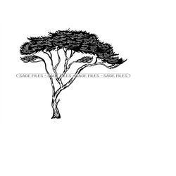 safari tree svg, safari svg, african tree svg, tree clipart, tree files for cricut, tree cut files for silhouette, png,