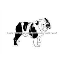 Bulldog 5 SVG, Bulldog Svg, Bulldog Clipart, Bulldog Files for Cricut, Bulldog Cut Files For Silhouette, Png, Dxf