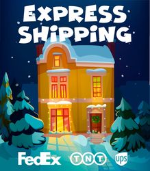 Express Worldwide Shipping.jpg
