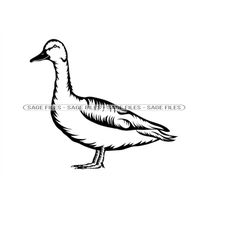 Mallard Duck SVG, Wild Duck SVG, Mallard SVG, Duck Clipart, Duck Files for Cricut, Duck Cut Files For Silhouette, Png, D