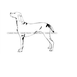 Pointer Dog SVG, Pointer Dog Clipart, Pointer Dog Files for Cricut, Pointer Dog Cut Files For Silhouette, Png, Dxf