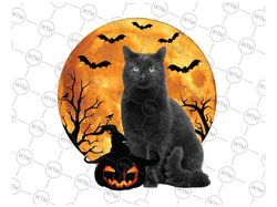 Black Cat Halloween Pumpkin With The Moon Png, Cat and Pumpkin Png, Happy Halloween Png, Digital Download