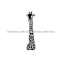 Giraffe Head SVG, Giraffe Mascot SVG, Giraffe Clipart, Giraffe Files for Cricut, Giraffe Cut Files For Silhouette, Png,