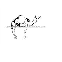 Camel Outline SVG, Camel Svg, Camel Clipart, Camel Files for Cricut, Camel Cut Files For Silhouette, Png, Dxf