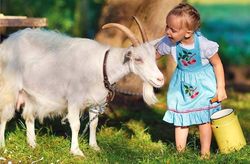 Amalthea Goat's milk whole dry, 400 g (14.11 oz) Free shipping!