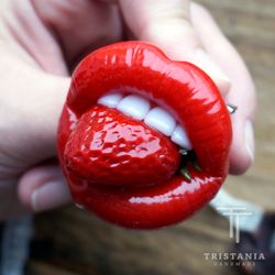 Lips brooch with raspberry