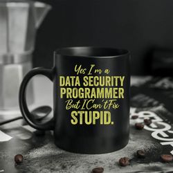 Yes Im A Data Security Programmer But I Cant Fix Stupid Data Analyst Mug