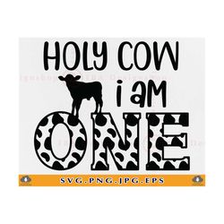 Holy Cow I am One SVG, Cow Birthday SVG,1st Birthday Boy SVG, Girl First Birthday Shirt, Farm Cowboy Birthday Gift,Files