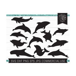 Dolphin SVG File, Dolphins SVG Cut File for Cricut, Dolphin Silhouettes, Porpoise, Bottlenose, Dolphin PNG, Instant Down