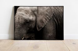 Elephant Photo Print, Wildlife Elephant Wall Art, Elephant Photo Artwork, Elephant Lover Gift Wall Art, Animal Poster, W