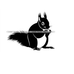 European Squirrel SVG, Squirrel Svg, Squirrel Clipart, Squirrel Files for Cricut, Squirrel Cut Files For Silhouette, Png