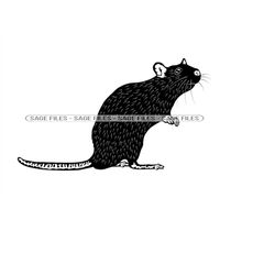 Rat 3 SVG, Rat Svg, Rodent Svg, Rat Clipart, Rat Files for Cricut, Rat Cut Files For Silhouette, Png, Dxf