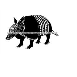 Armadillo 2 SVG, Armadillo SVG, Armadillo Clipart, Armadillo Files for Cricut, Armadillo Cut Files For Silhouette, Png,