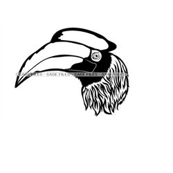 Great Hornbill 2 SVG, Great Hornbill Svg, Bird Svg, Great Hornbill Clipart, Files for Cricut, Cut Files For Silhouette,