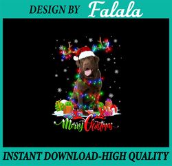 Funny Chocolate Lab Dog Merry Christmas PNG, Labrador Retriever Gift, Merry Christmas, Chocolate Lab, Labrador Christmas