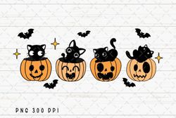 Black Cat Pumpkin Halloween Spooky PNG