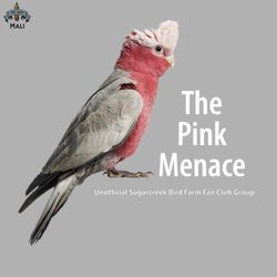 pink menace Sublimation PNG Download