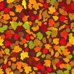 Autumn Theme 11 Digital Seamless Pattern, Illustration, Printable