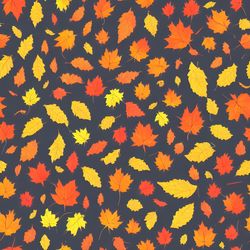 autumn theme 14 digital seamless pattern, illustration, printable