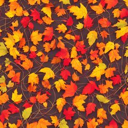 autumn theme 15 digital seamless pattern, illustration, printable