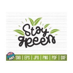 Stay green SVG / Earth day SVG / Free Commercial Use / Cut Files for Cricut / Clipart / vector / instant download