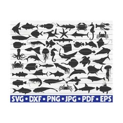 52 Ocean Animals Silhouettes / Free Commercial Use / Cut files for Cricut / cliparts / printable / vectors / instant dow