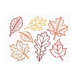 Fall Leaves Svg, Fall svg, Fall leaf svg bundle, Fall png, dxf, clipart, Cut files for Cricut, Glowforge files, Silhouet