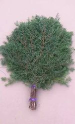 Juniper broom 1 piece Natural handmade for bath, sauna, hammam medicinal herbs