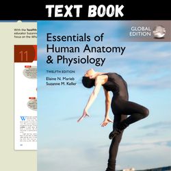 Complete Essentials of Human Anatomy & Physiology, Global Edition 12th Edition