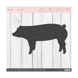 Pig SVG - Show Pig SVG - Show Pig Clipart - Show Pig Cut File - Pig SVG File - Show Pig   - Show Pig Decal Cut File - Sh