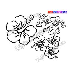 Hibiscus Svg,Hibiscus Outline,Tropical Flowers,Floral Svg,Flower Svg,Hawaiian Flower Svg,silhouette svg,Png,Eps,Dxf,Vect
