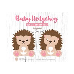 Baby Hedgehog SVG,Woodland Animals,Nursery,Hedgehog Svg File,Cute,Vinyl,PNG,Mug,Clipart,Layered,DXF,Silhouette,Instant d