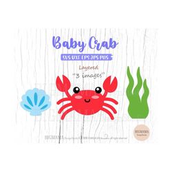 Cute Crab SVG,Baby,Layered,DXF,Sea Animal,Baby Shower,Birthday,Crab Cut File,Cricut,PNG,Kids,Shell,Clam,Silhouette,Insta