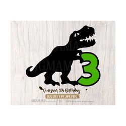 Dinosaur 3th Birthday SVG,Third,3 years,T-rex,Three,Number,Birthday Boy,Tshirt,Dino,Cut File,Cricut,PNG,DXF,Silhouette,I