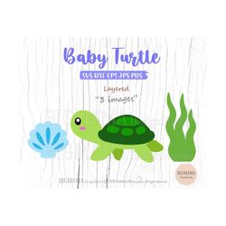 Cute Turtle SVG,Baby,Layered,DXF,Sea Animal,Birthday,Turtle Cut File,Cricut,Ocean,PNG,Kids,Shell,Clam,Silhouette,Instant