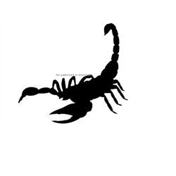 Scorpion Svg Cutting Image, Scorpio Cutting File, Desert Scorpion Silhouette Files, Scorpion Svg Png Dxf