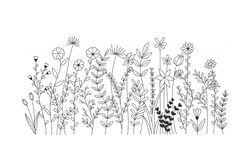 Wildflower embroidery design. Floral Botanical Meadow Garden Embroidery Pattern