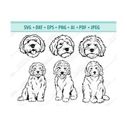 Goldendoodle SVG,  Dog Silhouettes, Dogs SVG,  Digital Cutting File, Vector file, File For Cricut, Instant Download Svg,