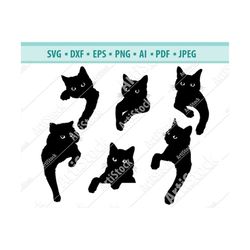 Cat SVG, Black cat svg, Peeking cat clipart, Peeping cat SVG, Halloween cat svg, cricut silhouette, Cat clipart Cut Cutt
