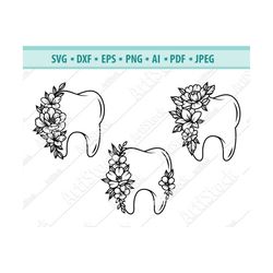 Floral tooth Svg, Tooth svg, Flower Svg, Dentist SVG, Floral Dentist SVG, Tooth with flower Svg, Dentistry Svg, Png, Eps