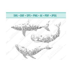 Underwater fish Svg, Whale SVG, Shark SVG, Coral Orca svg, Summer Svg, Ocean animals Svg, Whale Clipart, Files For Silho