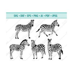 Zebra SVG, Zebra Clipart, Zebra Files for Cricut, Zebra Cut Files For Silhouette, Zebra Dxf, Zebra Png,  Zebra Dxf, Jpg,
