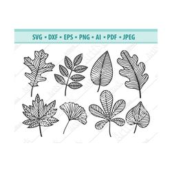 Leaf Svg file, Leaves Svg, Autumn Svg, Fall Leaves Svg, Plants Svg, Maple Leaf Svg, Fall Autumn Leaf SVG, Tree leaf Svg,