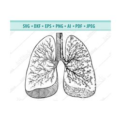 Human Lung svg, Lungs Svg Flowery, Human Lung Silhouette, Human Lung Vector, Clipart .Svg .Png .Eps .Dxf .Pdf, Cricut Si