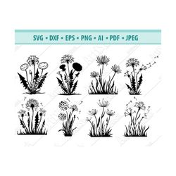 Dandelion Flower Svg,  Nature Wish Svg, Garden Plant Svg, Grow Stem SVG .EPS .PNG Instant Digital Clipart Vector Cricut