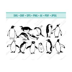 Penguin SVG, Penguin Clipart, Penguin Files for Cricut, Penguin Cut Files For Silhouette,Cute Penguin SVG, Winter Clip A