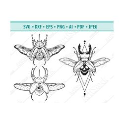 Stag beetle Svg, Death's Head beetle Svg, Scarab Svg, Spooky beetle Svg, Files for cricut, Insect Svg, Magic beetle Svg,